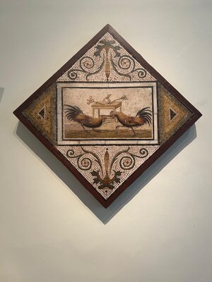 WhatsApp Image 2024-06-01 at 21.53.37 (1)